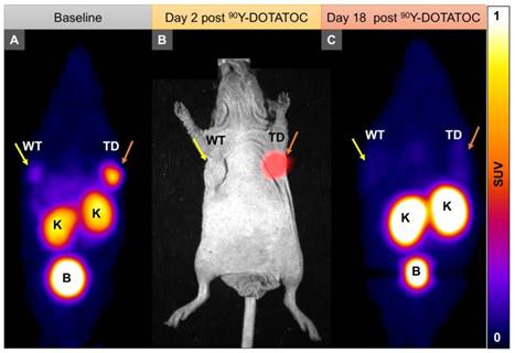 Theranostics Image