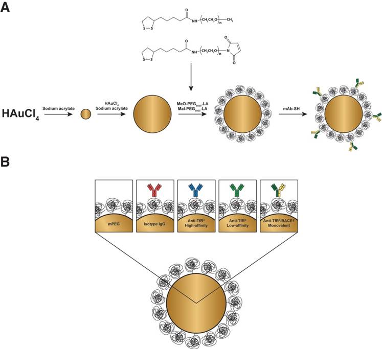 Theranostics Image