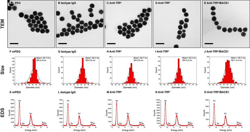 Theranostics Image