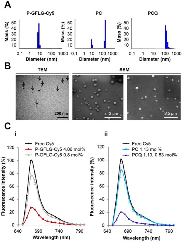 Theranostics Image