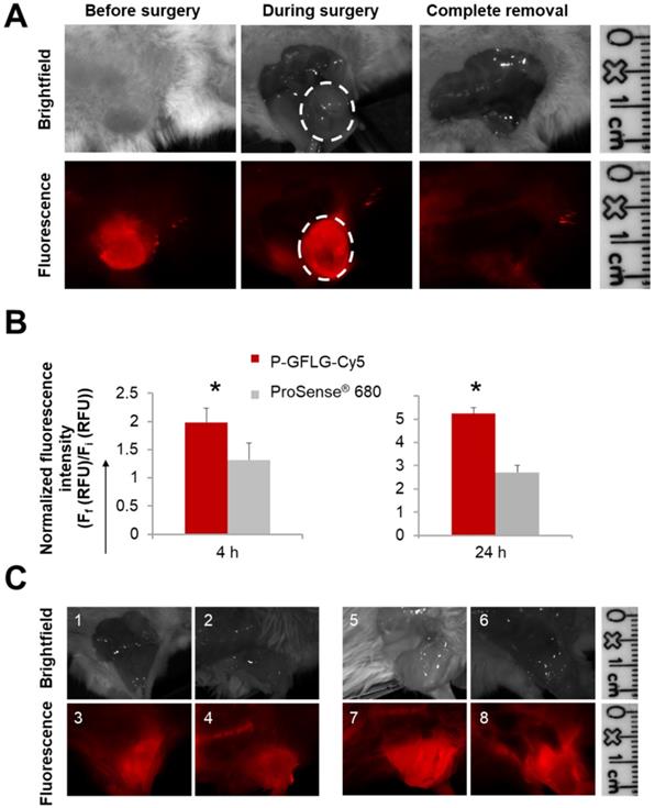 Theranostics Image