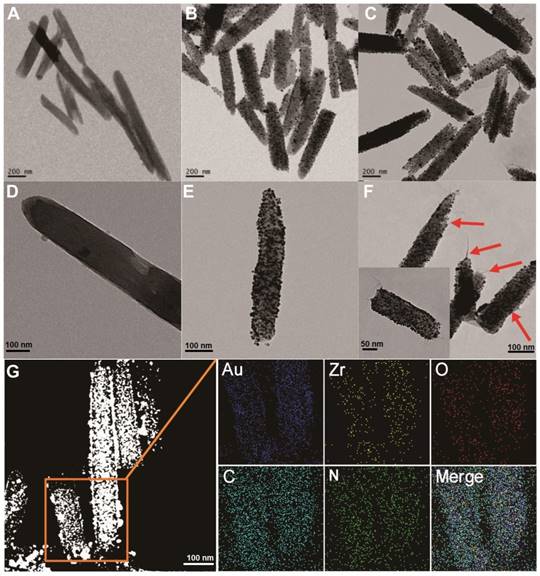 Theranostics Image