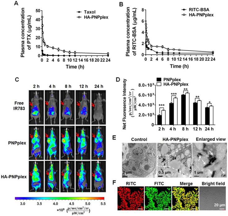 Theranostics Image