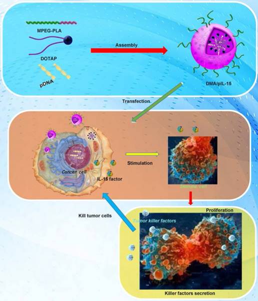 Theranostics Image