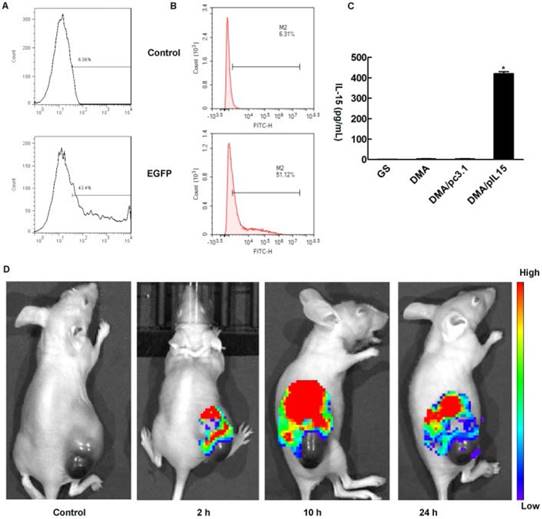 Theranostics Image