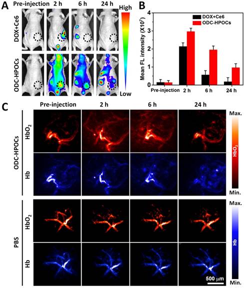 Theranostics Image