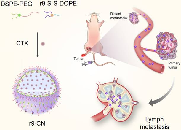 Theranostics Image