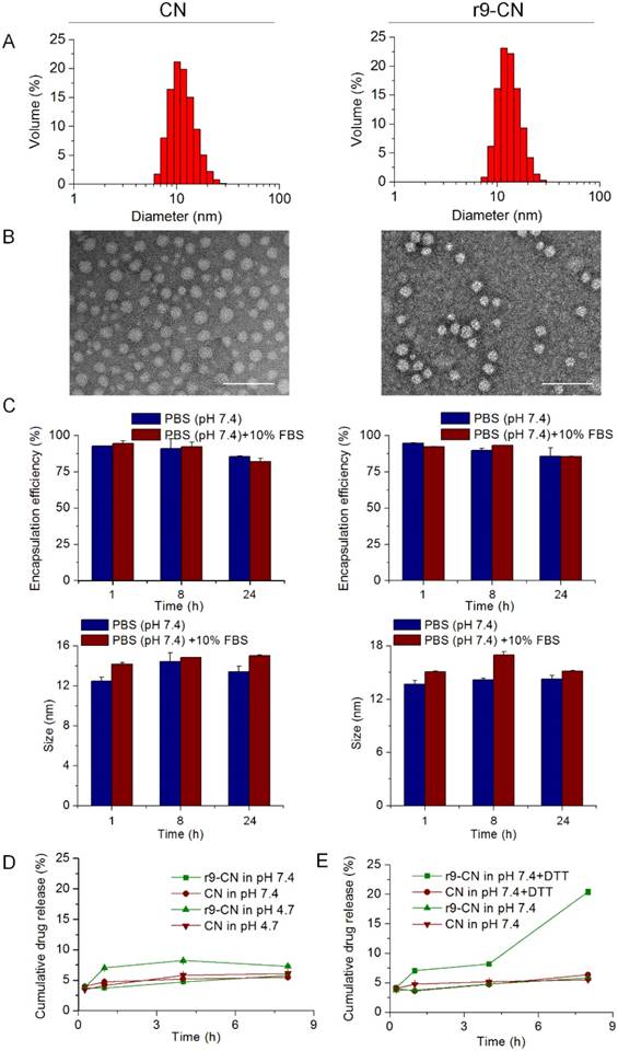 Theranostics Image