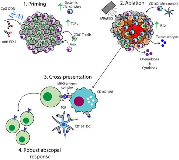 Theranostics Image