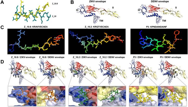 Theranostics Image