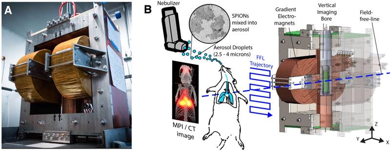 Theranostics Image