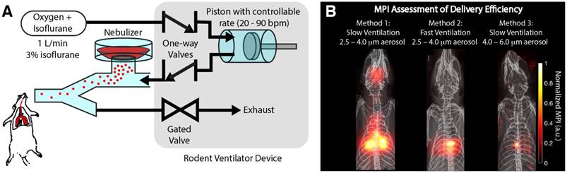 Theranostics Image