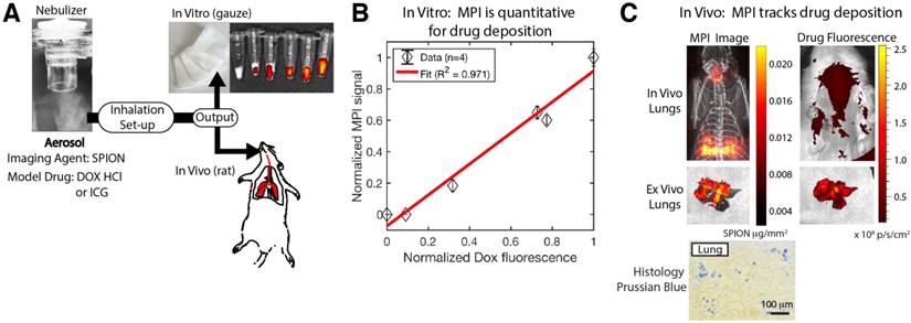 Theranostics Image