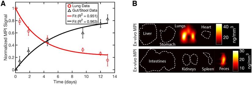 Theranostics Image