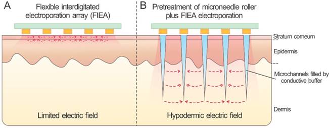 Theranostics Image