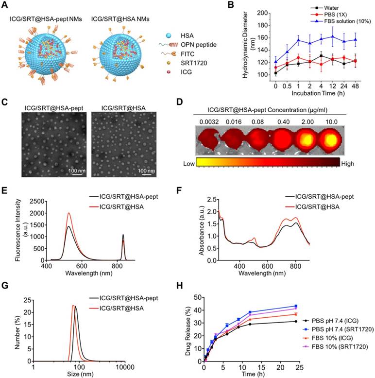 Theranostics Image