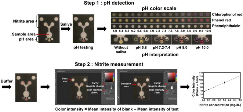 Theranostics Image