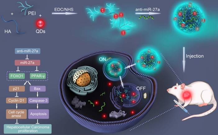 Theranostics Image