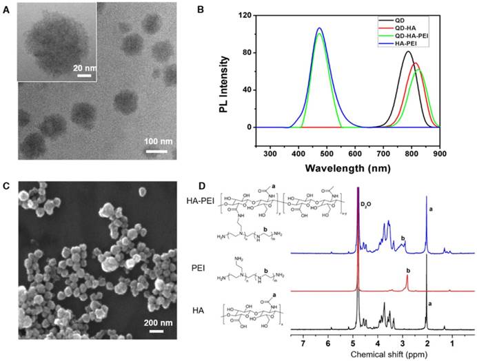 Theranostics Image