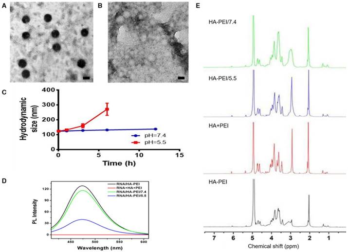 Theranostics Image