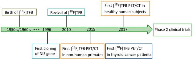 Theranostics Image