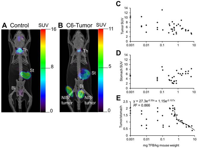 Theranostics Image