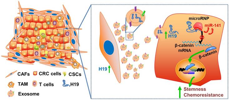 Theranostics Image