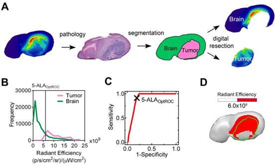 Theranostics Image