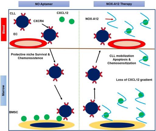 Theranostics Image