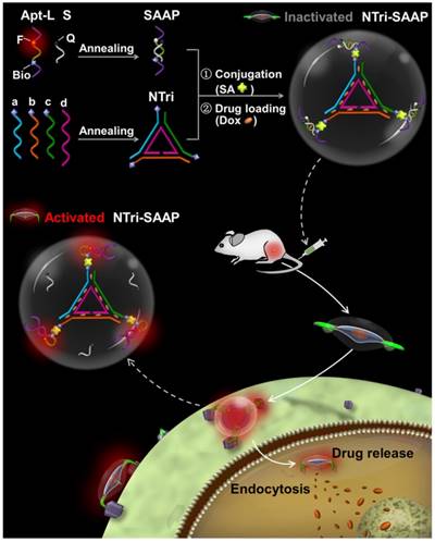 Theranostics Image