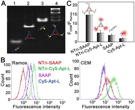 Theranostics Image