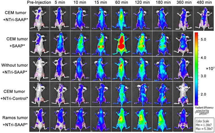 Theranostics Image