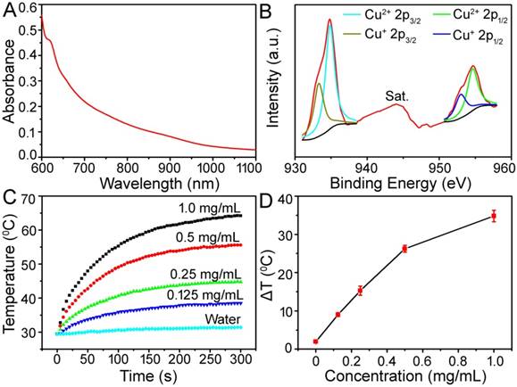 Theranostics Image