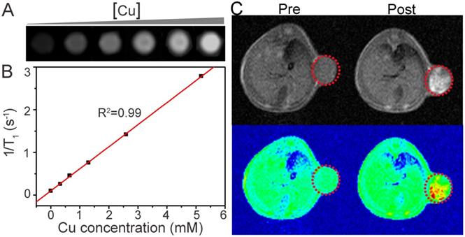 Theranostics Image