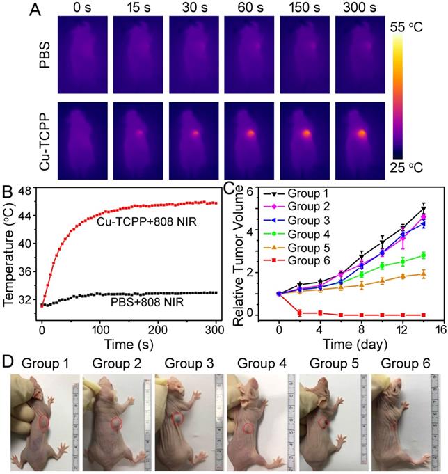 Theranostics Image