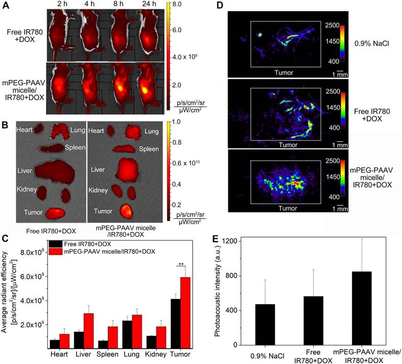 Theranostics Image