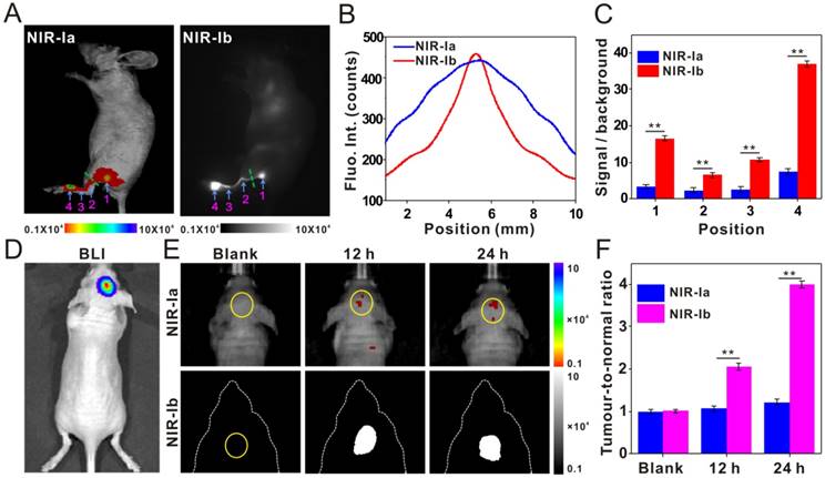 Theranostics Image