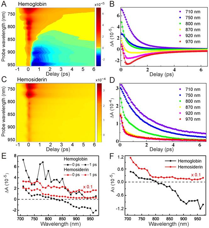 Theranostics Image