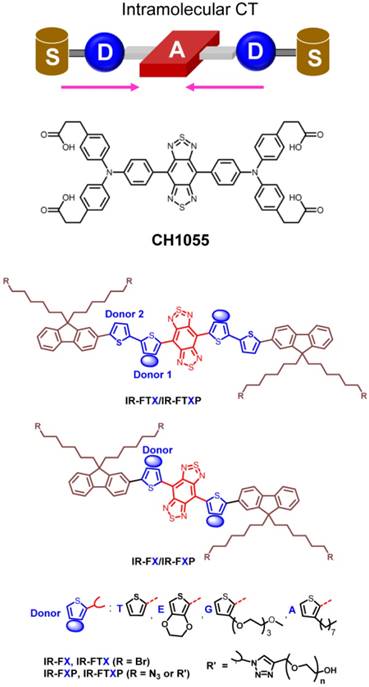 Theranostics Image