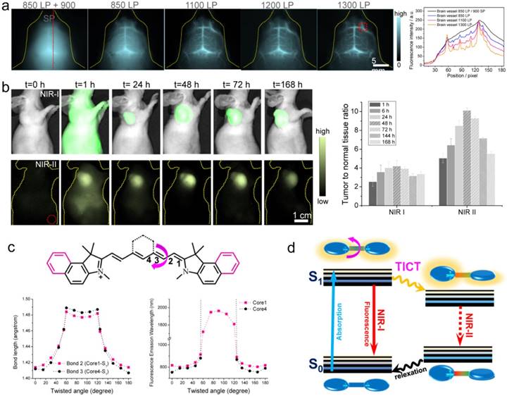 Theranostics Image