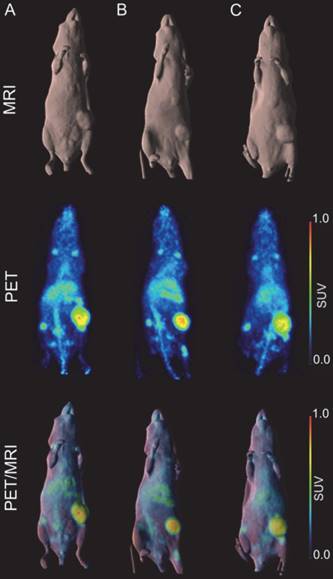 Theranostics Image