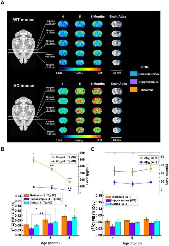 Theranostics Image