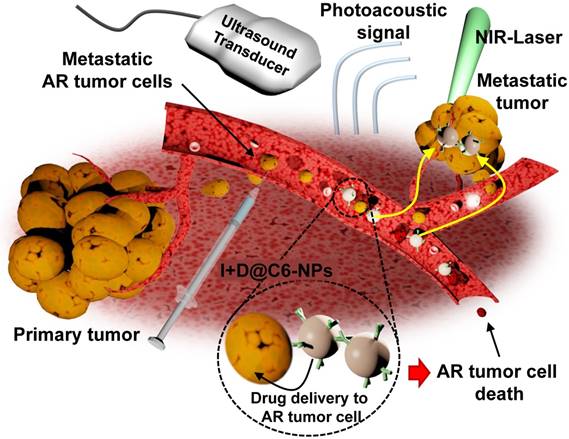 Theranostics Image