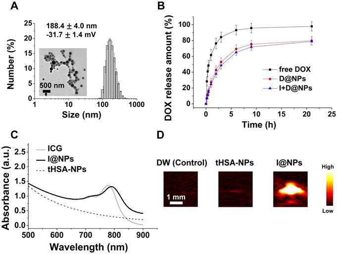 Theranostics Image