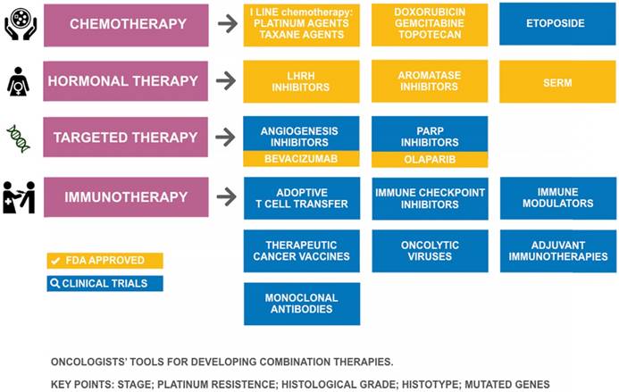 Theranostics Image