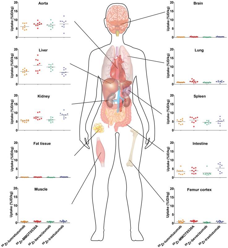 Theranostics Image