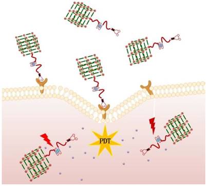 Theranostics Image