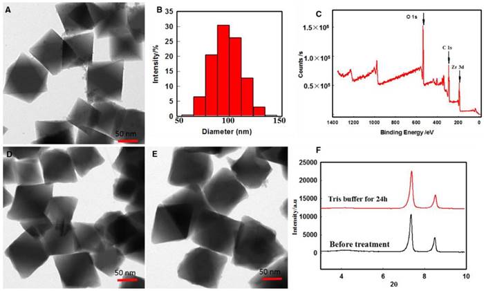 Theranostics Image