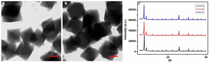 Theranostics Image