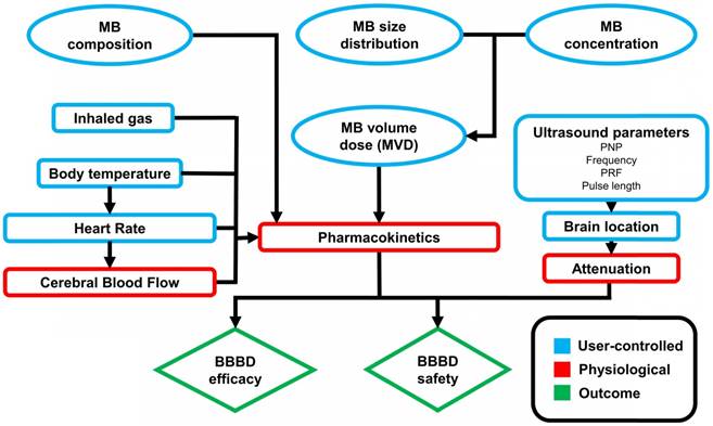 Theranostics Image